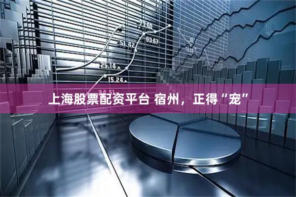上海股票配资平台 宿州，正得“宠”