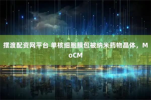 摆渡配资网平台 单核细胞膜包被纳米药物晶体，MoCM